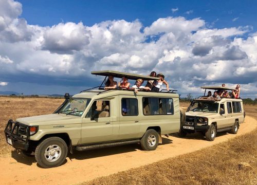 3 Days 2 Nights Adventures At Mikumi National Park